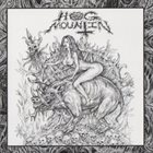 HOG MOUNTIN Möse / Hog Mountin album cover