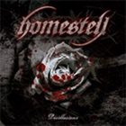 HOMESTELL Désillusions album cover