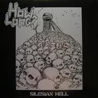 HOW LONG? Noise, Chaos And Disharmony / Silesian Hell album cover