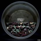 HUMMINGBIRD OF DEATH Cold World / Hummingbird Of Death album cover