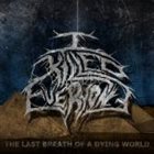 I KILLED EVERYONE The Last Breath Of A Dying World album cover