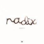IMMETIC Radix album cover