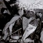 IMPIOUS HAVOC Dawn of Nothing album cover