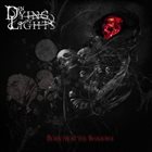 IN DYING LIGHTS Born From The Shadow album cover