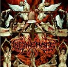 INCINERATE Dissecting the Angels album cover
