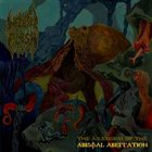 INFECTED FLESH The Ascension of the Abysmal Aberration album cover