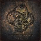 INHUMAN AFFLICTION Hedonist album cover