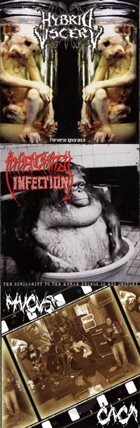 INTESTINAL INFECTION Perverse Ignorance / The Similarity to the Human Beings Is His Destiny / Caca album cover