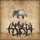 INVINCIBLE TAPIR Still Unbeatable album cover