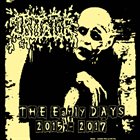 IRITATOR The Early Days (2015 - 2017) album cover