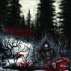 KALMANKANTAJA — Demonwoods album cover