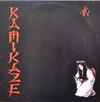 KAMIKAZE Kamikaze album cover