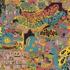KING GIZZARD AND THE LIZARD WIZARD Oddments album cover