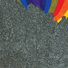 LIGHTNING BOLT Wonderful Rainbow album cover