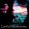 LORD OF MUSHROOMS Lord Of Mushrooms album cover