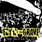 LOYAL TO THE GRAVE Never Take Us Down album cover