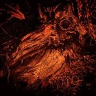LURK Fringe album cover