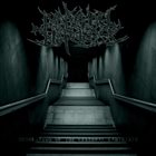 MAKE YOU HOPELESS Desolation Of The Cerebral Labyrinth album cover