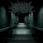 MAKE YOU HOPELESS Desolation Of The Cerebral Labyrinth album cover