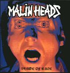MALINHEADS Berlin Gewidmet ✝ 3. Okt' 90 / Shape Of Rage album cover