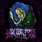 MAY THE FORCE BE WITH YOU The Flood album cover