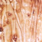 MEDICINE NOOSE Disgusted Geist / Medicine Noose album cover
