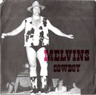 MELVINS Melvins / Plainfield album cover