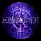 MESHUGGAH Selfcaged album cover