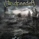 MINDFEEDER Endless Storm album cover