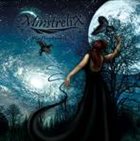 MINSTRELIX Reflections album cover