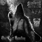 MISANTHROPIC RITUALS One Last Howling album cover