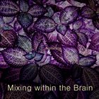 MIXING WITHIN THE BRAIN Nameless album cover