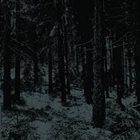 MOLOCH Abstrakter Wald album cover