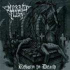 MORBID FLESH Reborn In Death album cover