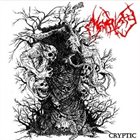 MORTIFY Cryptic album cover
