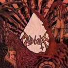 MUDBATH Red Desert Orgy album cover