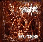 NARKOTROLL Split Mind album cover