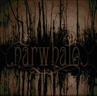 NARWHALE Narwhale album cover