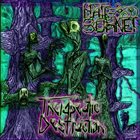 NATE BOHNET Therapeutic Destruction album cover