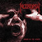 NECROPSY Buried in the Woods album cover