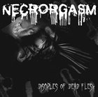 NECRORGASM Disciples Of Dead Flesh album cover