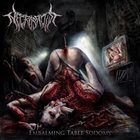 NECROSADIST Embalming Table Sodomy album cover