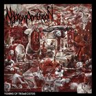 NEKROMANTHEON Visions of Trismegistos album cover