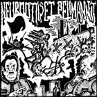 NEUROOTTISET PELIMANNIT Neuroottiset Pelimannit album cover