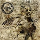 NOCTEM Divinity album cover