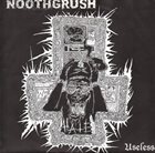 NOOTHGRUSH Useless / Untitled album cover