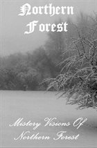 NORTHERN FOREST Mistery Visions of Northern Forest album cover