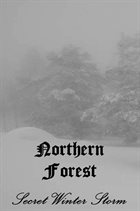 NORTHERN FOREST Secret Winter Storm album cover