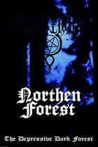 NORTHERN FOREST The Depressive Dark Forest album cover