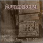 NUBTEDERCUM Стирая Дату... album cover